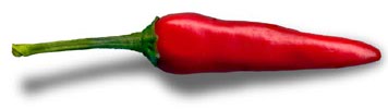 Chilli